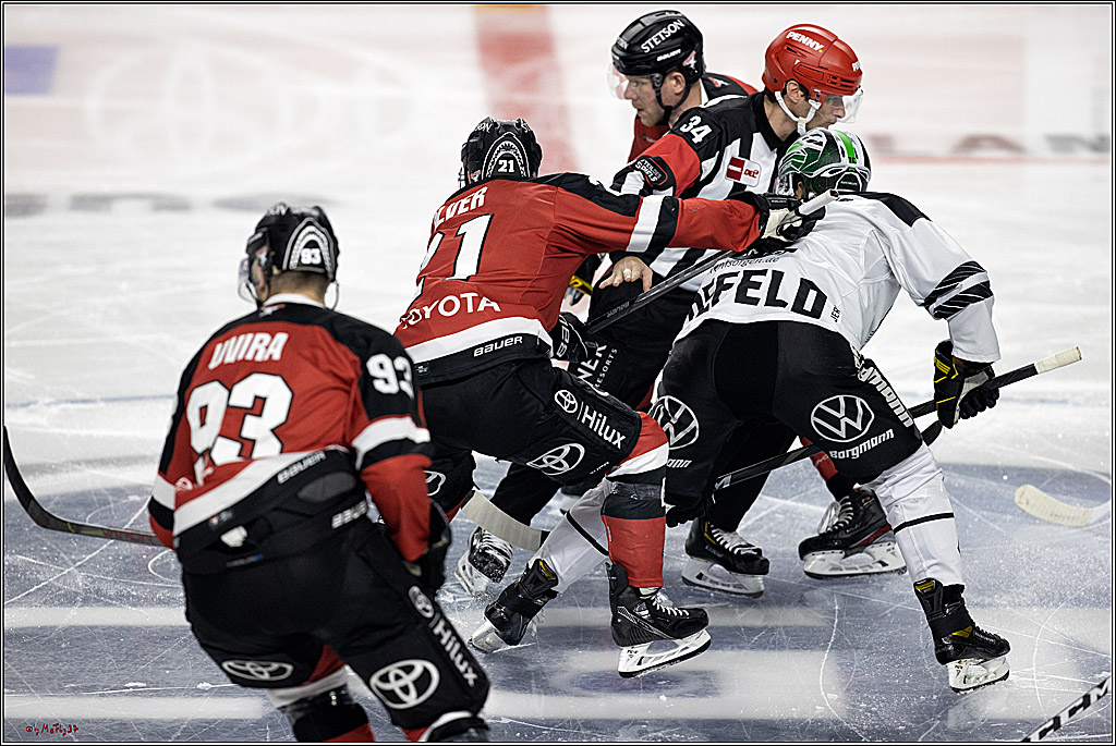 PENNY DEL;  Koelner Haie - Krefeld Pinguine; Koeln, 31.10.2021